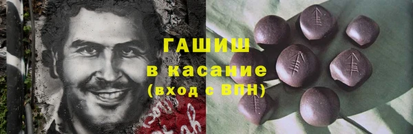 гидра Карпинск
