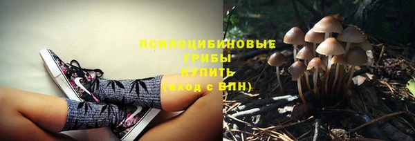 гидра Карпинск