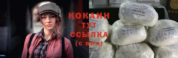 гидра Карпинск