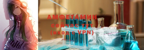гидра Карпинск