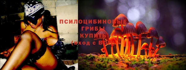Альфа ПВП Карталы